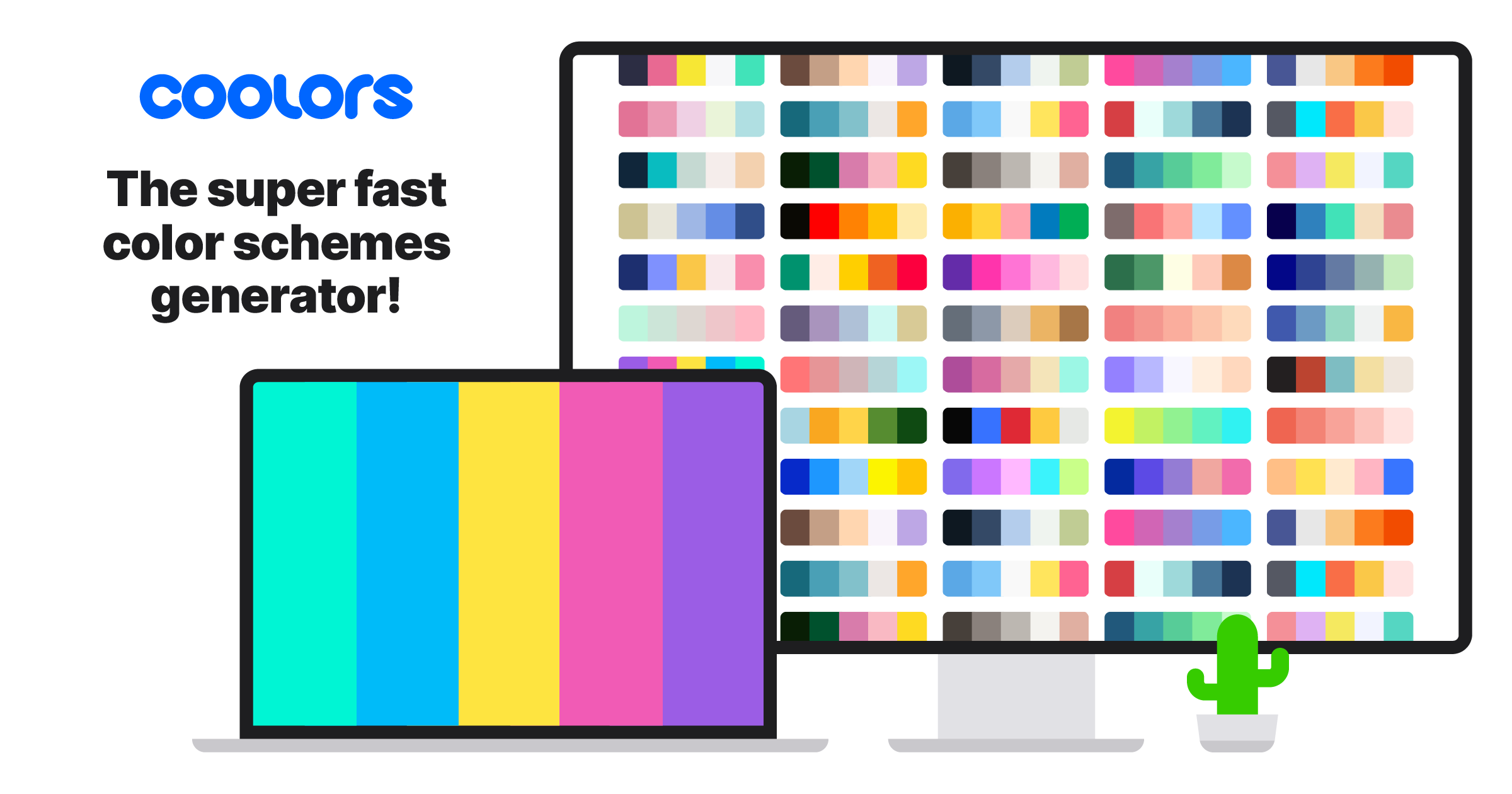 Palette visualizer coolors